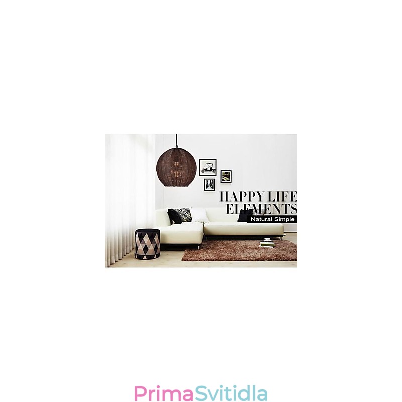 Moderní současná lucerna Country Globe Kovové závěsné světlo