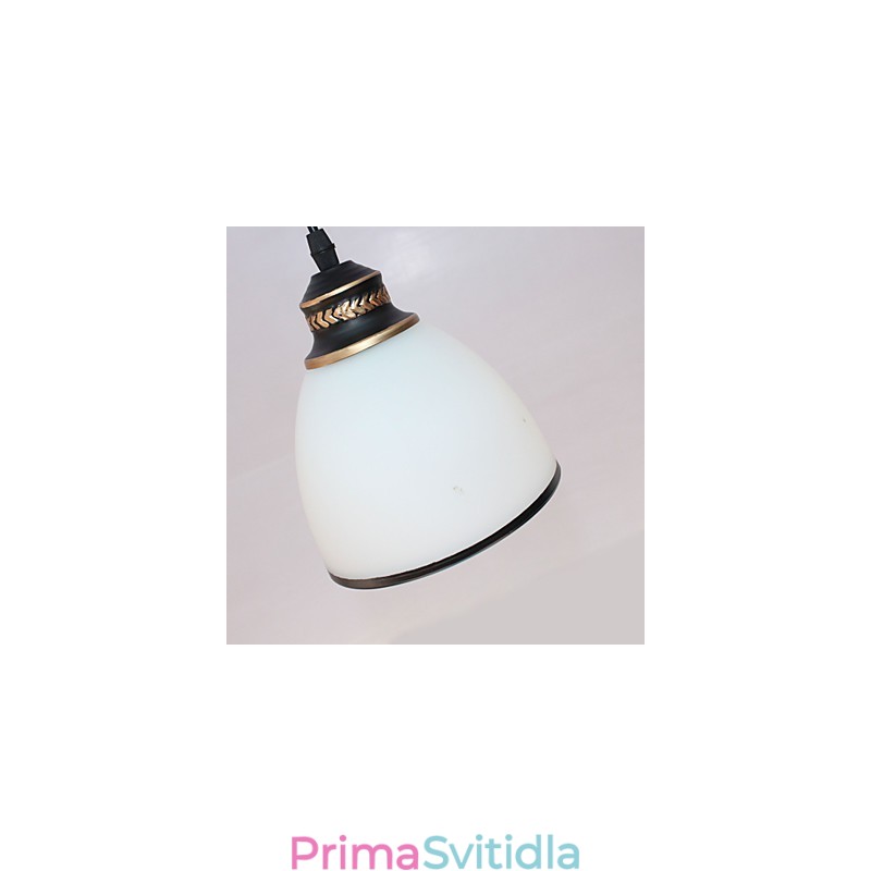 Vintage Designéři Ostatní Kovové závěsné světlo