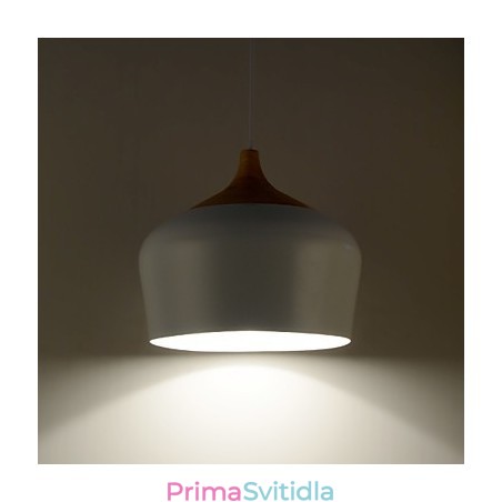 Závěsná svítidla moderní současný kov Závěsná svítidla moderní současný kov