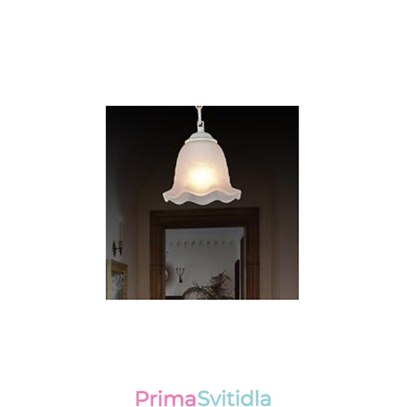 Tradiční klasické Vintage retro malba kovové závěsné světlo