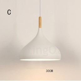 Moderní moderní 1 světelné závěsné svítidlo