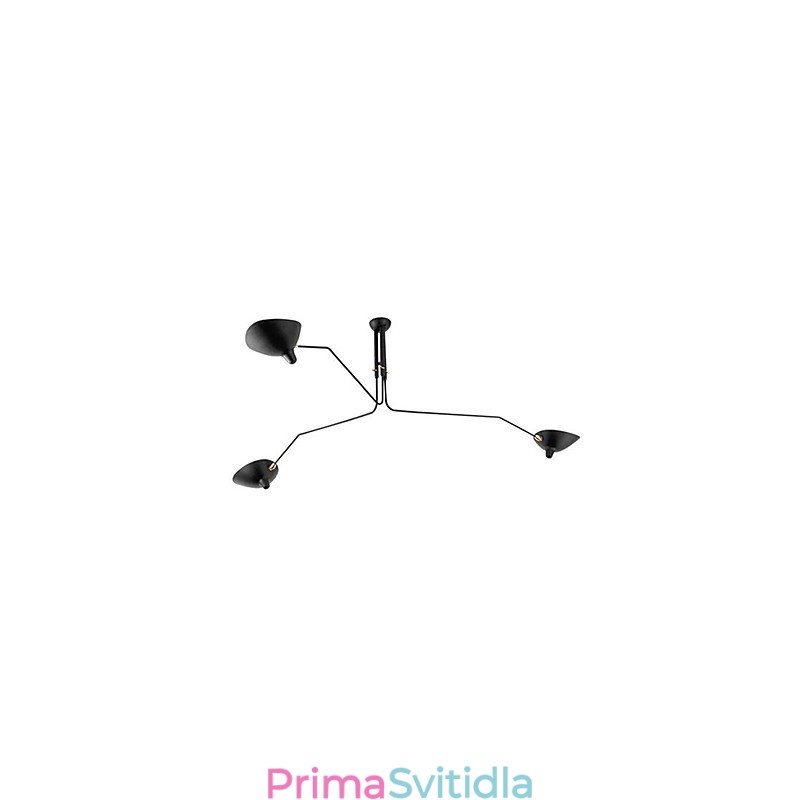 Moderní funkce současné malby pro designéry Kovový lustr