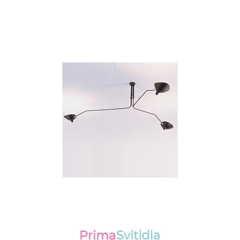Moderní funkce současné malby pro designéry Kovový lustr