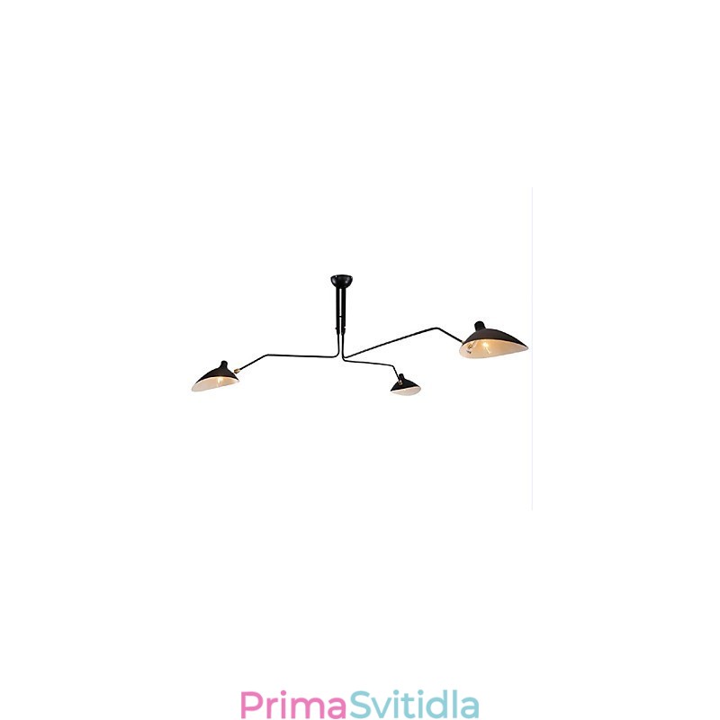 Moderní funkce současné malby pro designéry Kovový lustr