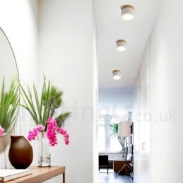 Dřevěné moderní designové mini stropní svítidlo s akrylovým stínidlem Speciální pro Lze použít také jako nástěnné svítidlo