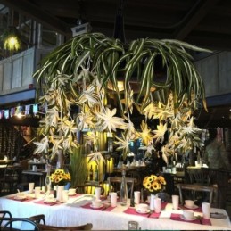 Domácí závěsná lampa Průmyslový styl Umělý rostlinný zdobený lustr