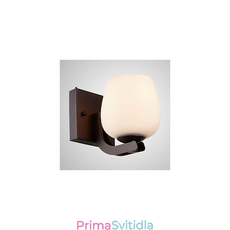 Železná nástěnná lampa se skleněným stínidlem Klasické moderní nástěnné svítidla