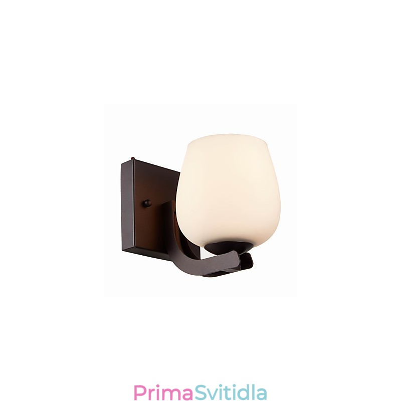Železná nástěnná lampa se skleněným stínidlem Klasické moderní nástěnné svítidla