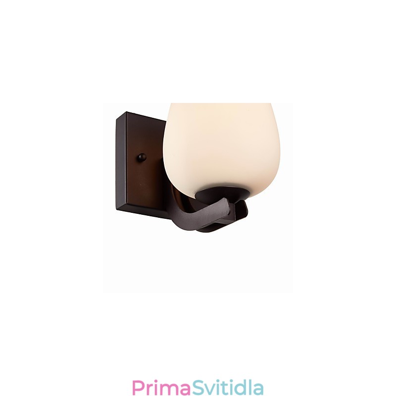 Železná nástěnná lampa se skleněným stínidlem Klasické moderní nástěnné svítidla