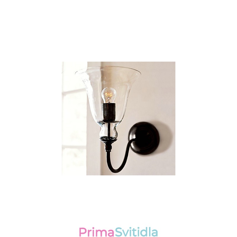 Železné nástěnné svítidlo inspirované přírodou s průhledným skleněným stínidlem