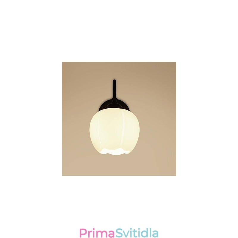 Moderní současná rustikální chata Country Others Funkce nástěnného svítidla v mini stylu Downlight