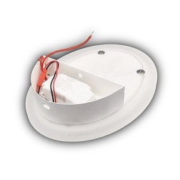 Švestkové vyřezávané akrylové drhnutí Nástěnné světlo Kulatý tvar Noční lampa Chodba Světla Teplá bílá AC220V