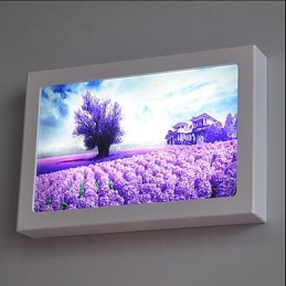 Integrovaná funkce moderního současného moderního současného malování pro nástěnné nástěnné svítidla s osvětlením