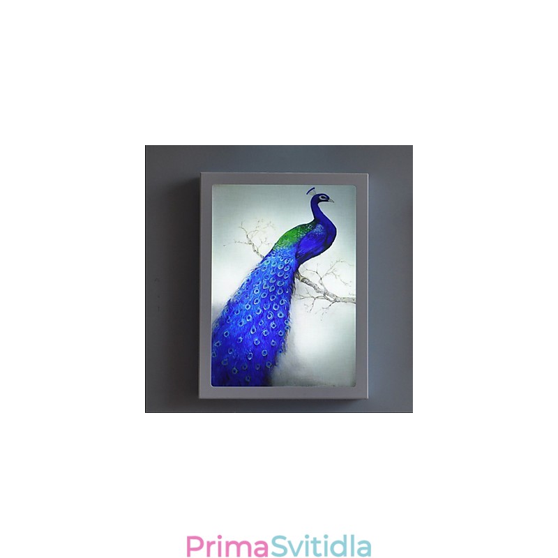 Integrovaná funkce moderního současného moderního současného malování pro nástěnné nástěnné svítidla s osvětlením