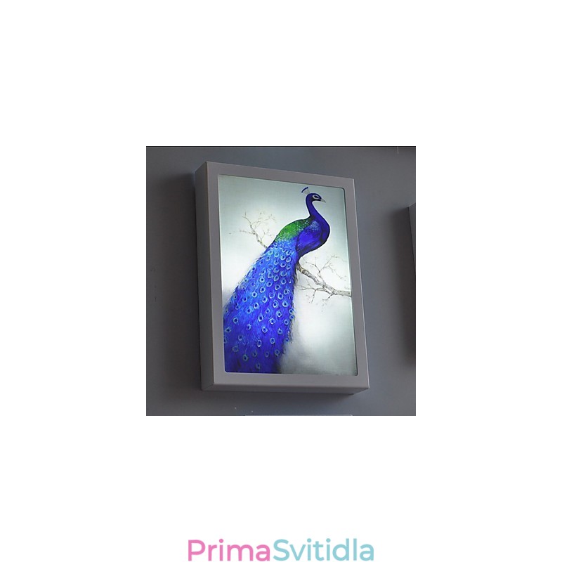 Integrovaná funkce moderního současného moderního současného malování pro nástěnné nástěnné svítidla s osvětlením
