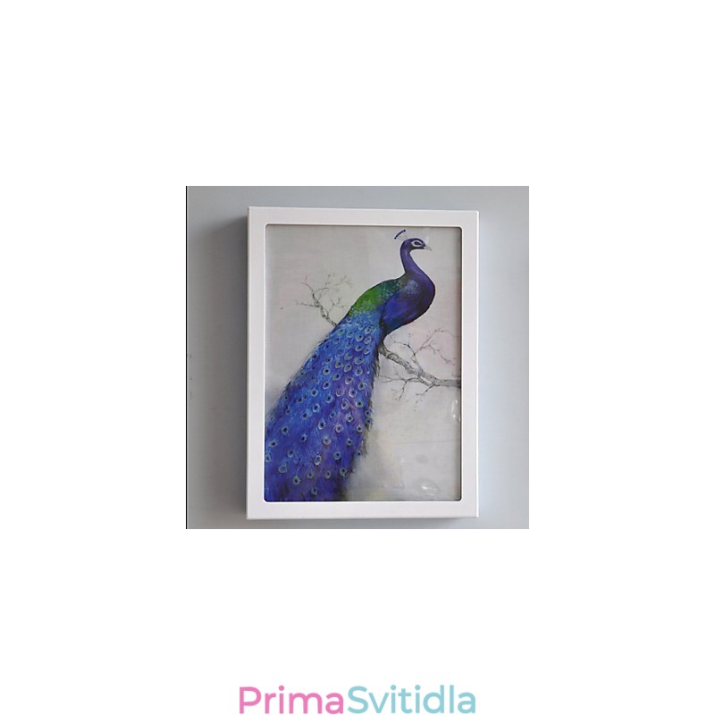 Integrovaná funkce moderního současného moderního současného malování pro nástěnné nástěnné svítidla s osvětlením