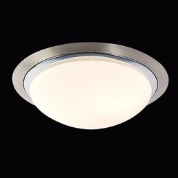 Stropní svítidlo 1 Světlo Moderní Jednoduché Umělecké