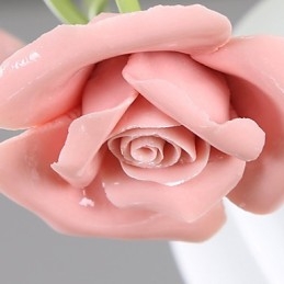 Den svatého Valentýna Růžová zahrada květiny a rostliny absorbují kupolové světlo