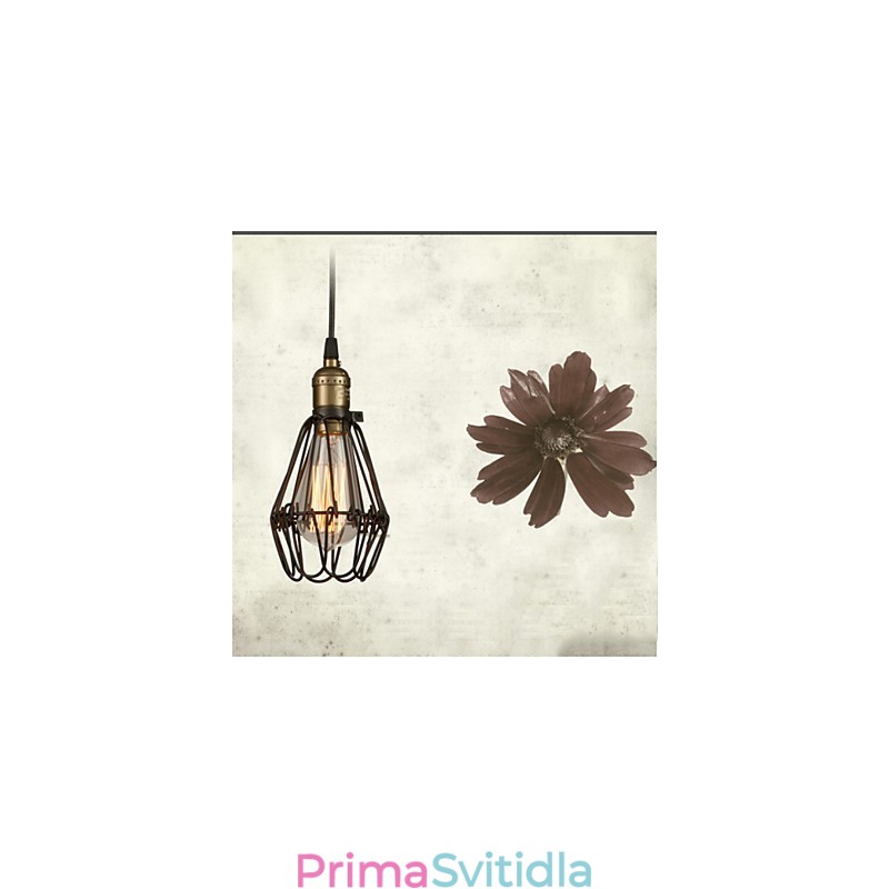 Závěsná svítidla Vintage americký venkovský styl obnovující starobylé způsoby kované železné malé klece