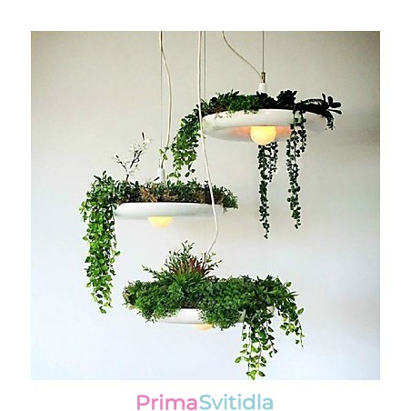 Hliníkové Droplight Nordic Creative Smluvní lampy a lucerny Sky Garden Light Žádná půdní rostlina Hliníkové Droplight Nordic Creative Smluvní lampy a lucerny Sky Garden Light Žádná půdní rostlina