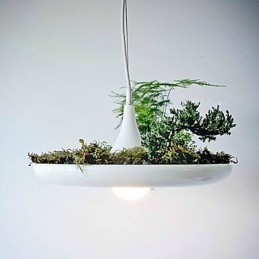Hliníkové Droplight Nordic Creative Smluvní lampy a lucerny Sky Garden Light Žádná půdní rostlina