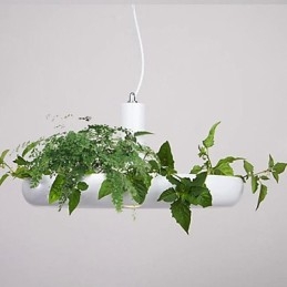 Hliníkové Droplight Nordic Creative Smluvní lampy a lucerny Sky Garden Light Žádná půdní rostlina