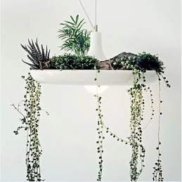 Hliníkové Droplight Nordic Creative Smluvní lampy a lucerny Sky Garden Light Žádná půdní rostlina