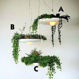 Hliníkové Droplight Nordic Creative Smluvní lampy a lucerny Sky Garden Light Žádná půdní rostlina